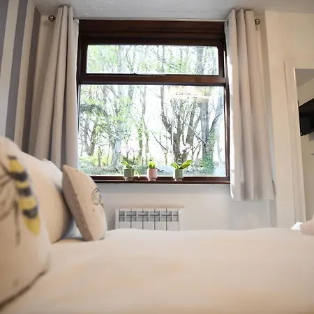 Fern Apartment *